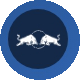 Red Bull Racing